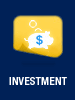 Click to revise Investment
